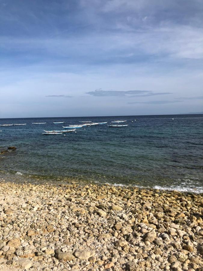 Sharky Hostel Oslob Εξωτερικό φωτογραφία
